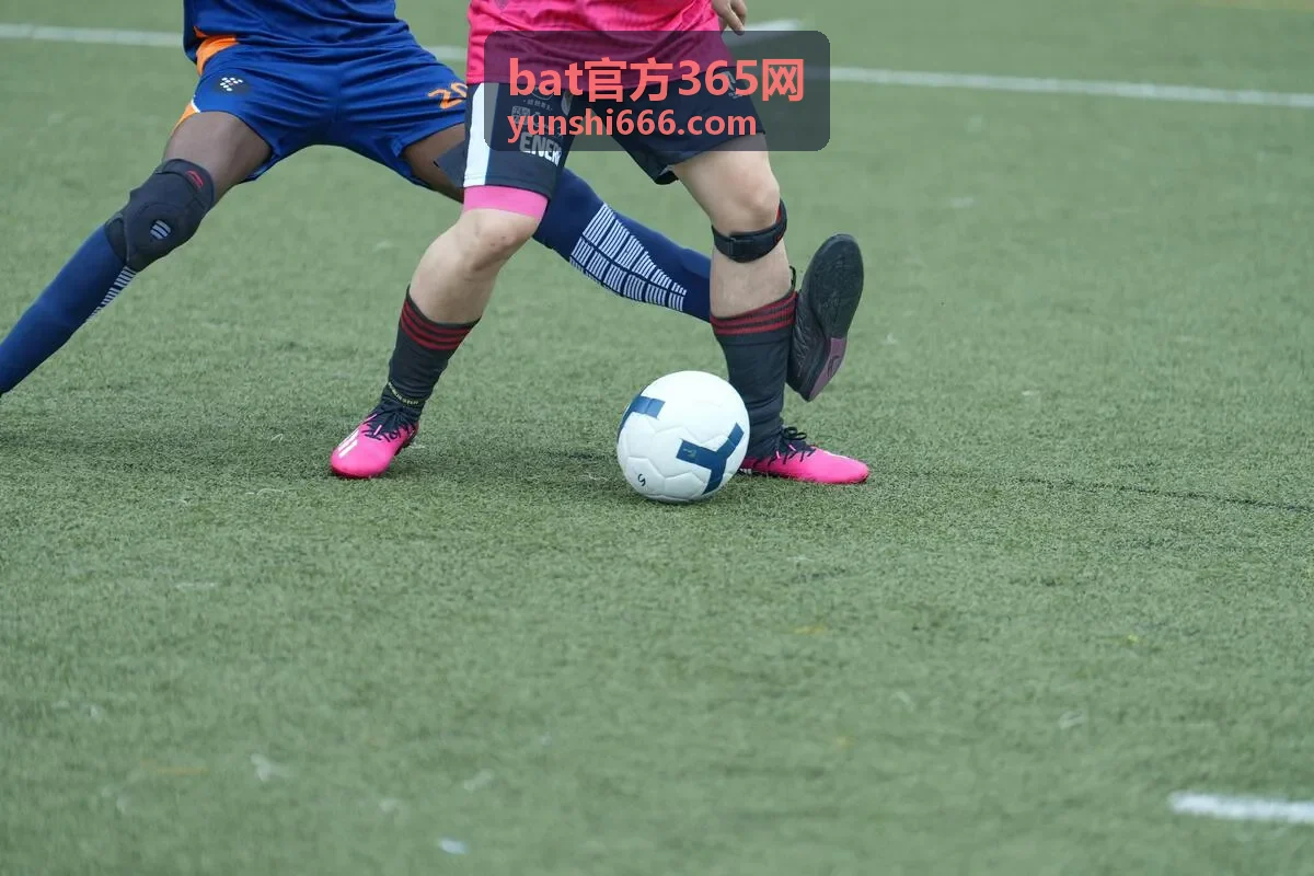 bat官方365网 数据查询与记录功能
